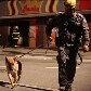 Buscas continuam em prédio que desabou e matou menina em São Bernardo Buscas continuam em prédio que desabou e matou menina em São Bernardo