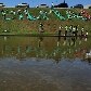 Manifestantes protestam contra Código Florestal em Brasília