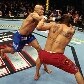 Enciclopédia do UFC, da Panini, é um guia completo do principal evento de MMA do mundo Enciclopédia do UFC, da Panini, é um guia completo do principal evento de MMA do mundo