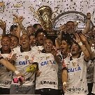 Confira os campeões dos Estaduais 2013 Confira os campeões dos Estaduais 2013