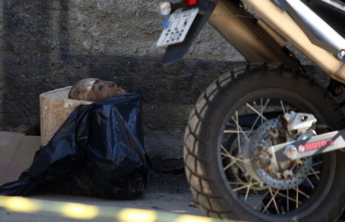 Crânios humanos são encontrados no centro do Rio