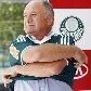 Palmeiras exibe camisa com novo patrocinador