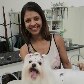 Conheça as armas para conquistar o sucesso no mercado pet Conheça as armas para conquistar o sucesso no mercado pet