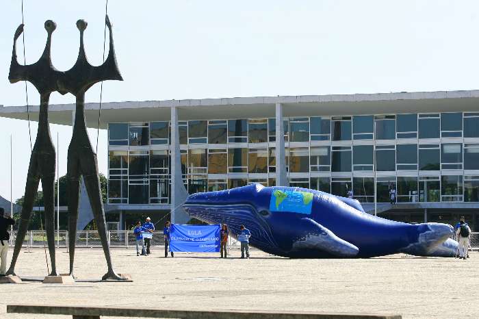 Greenpeace coloca baleia em frente ao Planalto