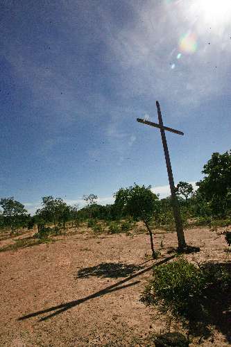 Paisagem do cerrado.