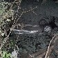 Carro com adolescentes desaparecidos é localizado em rio na Bahia Carro com adolescentes desaparecidos é localizado em rio na Bahia