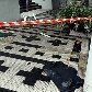 Turista surta e atira cachorros pela janela de prédio em Guarujá Turista surta e atira cachorros pela janela de prédio em Guarujá