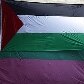 Bandeira palestina é pendurada para a volta de prisioneiros à Cisjordânia