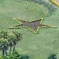 Estrela do PT permanece no jardim de Dilma; símbolo do partido já havia sido alvo de polêmica Estrela do PT permanece no jardim de Dilma; símbolo do partido já havia sido alvo de polêmica