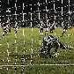 O goleiro Marcos defende o pênalti cobrado por Finazzi, no Palmeiras 0 x 2 Ponte Preta O goleiro Marcos defende o pênalti cobrado por Finazzi, no Palmeiras 0 x 2 Ponte Preta