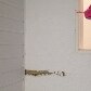Minha Casa, Minha Vida em Arapiraca