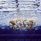 Rússia leva o ouro no nado sincronizado por equipes pela oitava vez seguida