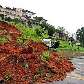 Parte do barranco desmoronou na Avenida Sumaré, zona oeste de São Paulo