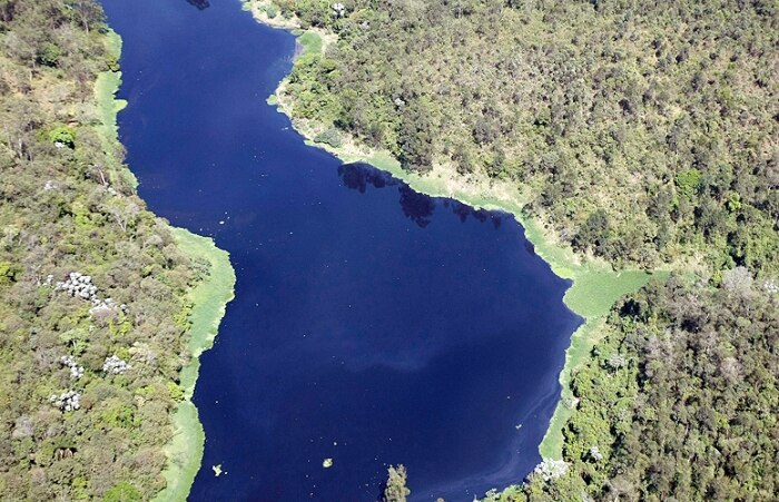 O levantamento foi publicado na revista Biota Neotropica
