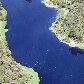 O levantamento foi publicado na revista Biota Neotropica