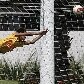 Neymar brinca no gol e titulares retornam no treino do Santos