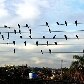 Para lembrar do dia do fotógrafo, profissionais escolhem foto que levariam para Marte Para lembrar do dia do fotógrafo, profissionais escolhem foto que levariam para Marte