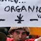 Confira imagens da marcha da maconha no Rio de Janeiro 