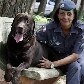 O cão farejador Shelton se aposenta da PM O cão farejador Shelton se aposenta da PM