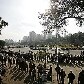 Torcedores do Santos fazem fila por ingressos para a final da Libertadores 2011, no Pacaembu Torcedores do Santos fazem fila por ingressos para a final da Libertadores 2011, no Pacaembu