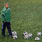 Bora Milutinovic orienta treino da seleção do Iraque, para a Copa das Confederações