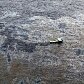 Relembre os últimos vazamentos de petróleo na costa do Brasil Relembre os últimos vazamentos de petróleo na costa do Brasil