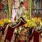 A escola de samba Tom Maior desfila no Sambódromo do Anhembi, em São Paulo