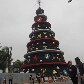 Inauguração de árvore de Natal reúne multidão no Ibirapuera Inauguração de árvore de Natal reúne multidão no Ibirapuera