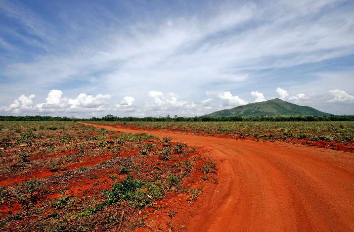 Cerrado de Minas Gerais, inspiração do autor Guimarães Rosa para a obra 