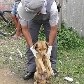 Veja casos de maus-tratos aos animais