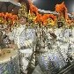 Os melhores momentos da primeira noite de carnaval em São Paulo Os melhores momentos da primeira noite de carnaval em São Paulo