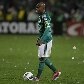 Jogo dos 12 erros: fatos que levaram o Palmeiras à Série B Jogo dos 12 erros: fatos que levaram o Palmeiras à Série B