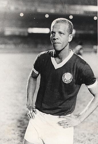 O eterno ídolo do Palmeiras