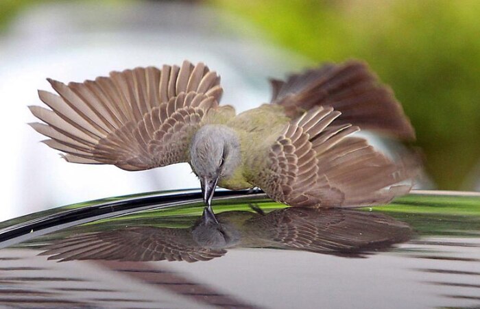 Para lembrar do dia do fotógrafo, profissionais escolhem foto que levariam para Marte