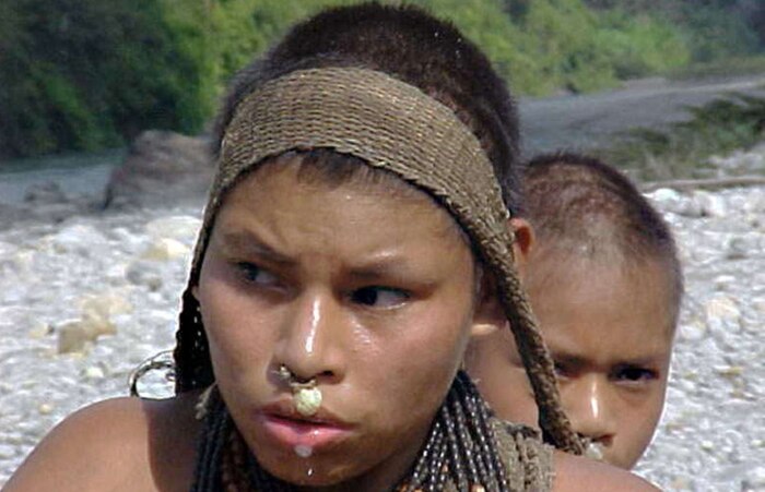 Fotos raras de índios isolados na Amazônia peruana são divulgadas