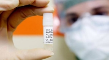 Reprodução Reprodução