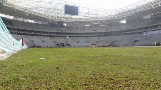 Gramado da arena do Palmeiras termina de ser plantado
