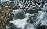 Haarberg Photography/Barcroft Media