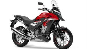 Divulga&ccedil;&atilde;o