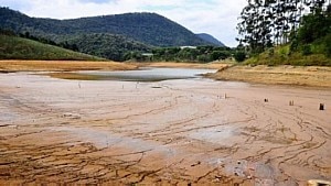 Nilton Cardin/Estad&atilde;o