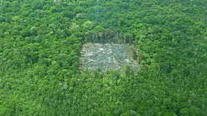 Herton Escobar/Estad&atilde;o