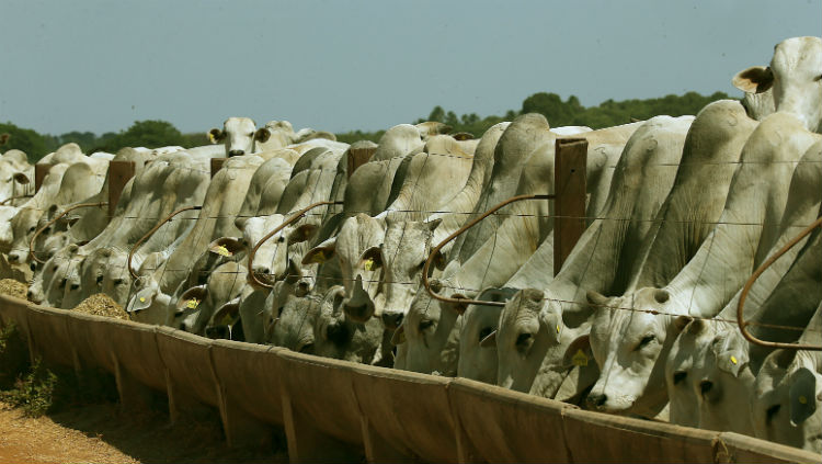 José Patrício/Estadão José Patrício/Estadão