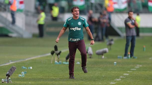 Palmeiras pode ter o 3º melhor aproveitamento da história do Brasileiro