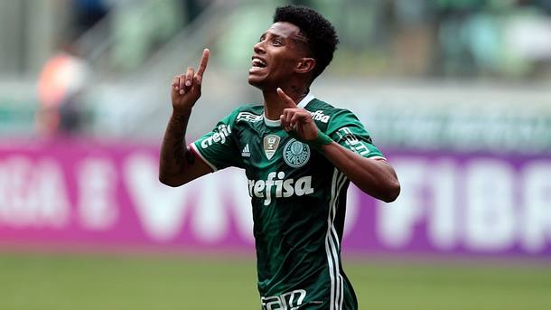 Dicas de Fernando Diniz ajudam Tchê Tchê a se dedicar no Palmeiras
