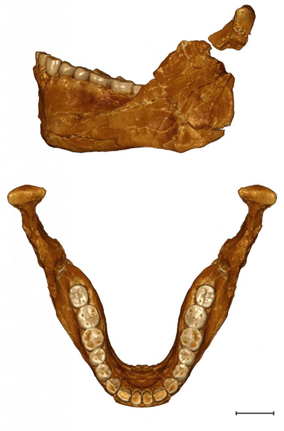 Homo sapiens de 300 mil anos