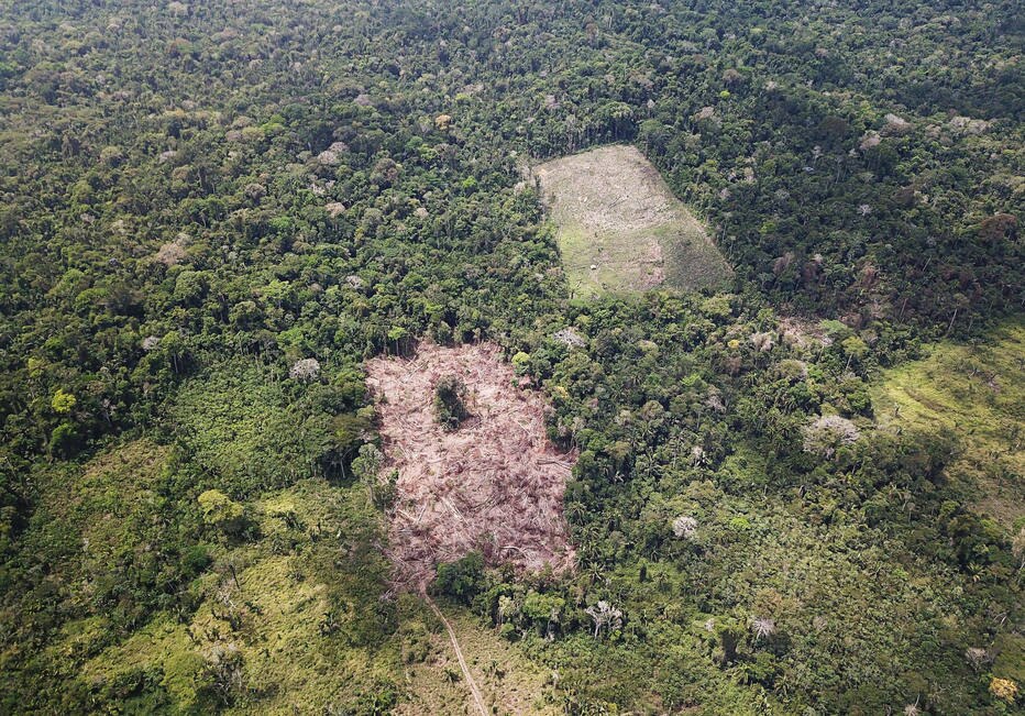 Operação militar na Amazônia infla dados de combate ao desmatamento