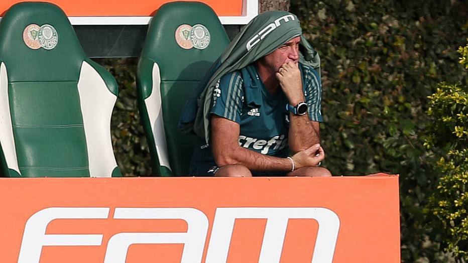 Palmeiras se reanima com possibilidade de brigar pelo título brasileiro