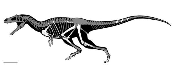 Gualicho