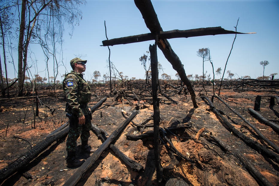 Brasil perdeu 9,5% das florestas entre 2000 e 2014