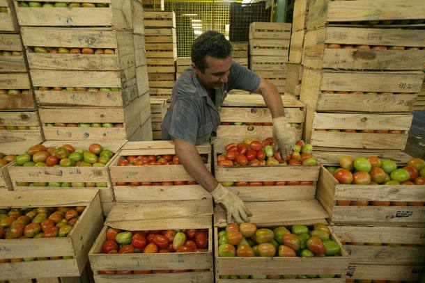 Índice de preços de alimentos da ONU cai 1,2% em abril 